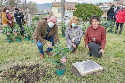 Tomio planta unha figueira filla da da casa de Rosala de Castro