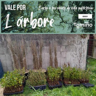 Tomio celebra os das do bosque e da rbore entregando plantas forestais autctonas 