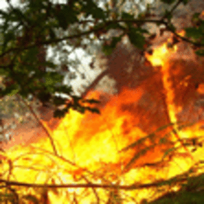 ESPECIAL - UN INCENDIO AFECT A ZONA DE MONTE EN SAN MIGUEL DE TABAGN - O ROSAL