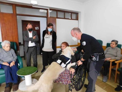 Seniores de Valena recebem terapia inovadora com caes