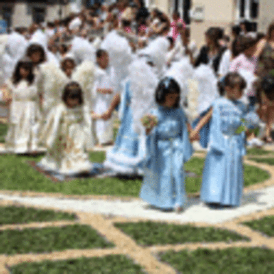 ESPECIAL - PROCESIN FESTAS DO SANTSIMO A GUARDA 2011