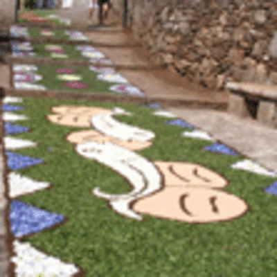 ESPECIAL - ALFOMBRAS FLORAIS O ROSAL 2011