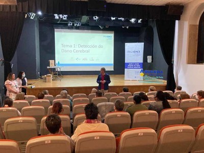 A Federacin Galega de Dano Cerebral impartiu na Guarda formacin sobre atencin a persoas con dano cerebral adquirido