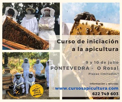 ltimas plazas para el Curso de Iniciacin a la Apicultura para el mes de julio en O Rosal