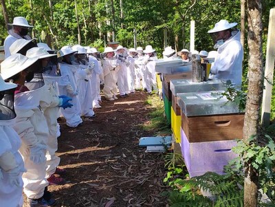 Apicultura Nio do Corvo busca terrenos forestales en O Baixo Mio para implantar colmenares