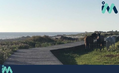 Galicia repite como a comunidade espaola con mis sendeiros azuis, cun total de 29 que se estenden ao longo de mis de 220 km