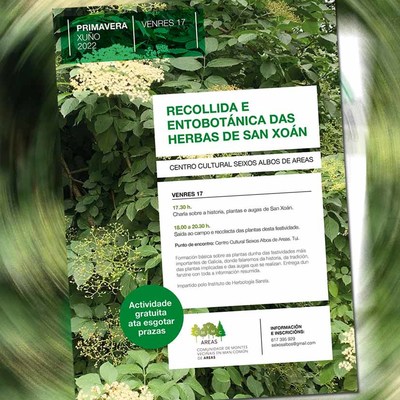 A Comunidade de Montes de Areas festexa San Xoan cunha recollida das sas herbas tradicionais