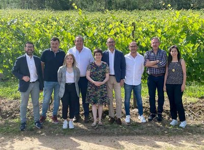 Ayuntamiento y bodegas caminan de la mano para trasladar la -Feira do Vio- a octubre