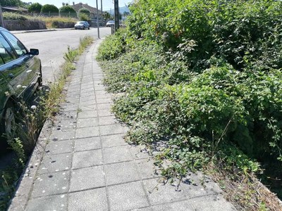 C21 solicita que se limpen as beirarras e marxes das vas nos barrios de Funchal e Telleiro en Rebordns