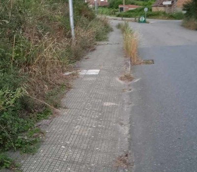 Converxencia 21 solicita que se limpien las aceras y los mrgenes en la carretera de As Gndaras de Guillarei