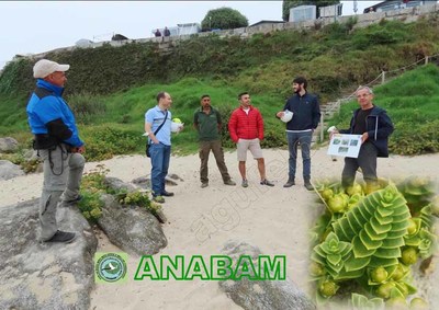 Os Socialistas de Oia fanse eco das demandas da Asociacin Ecoloxista Anabam ante a pasividade da alcaldesa