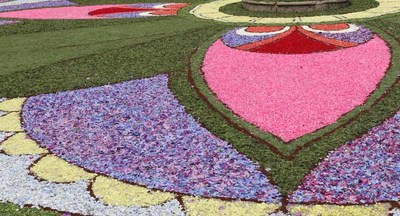 O paseo da corredoira acoller unha alfombra de flores adicada ao Camio Portugus 