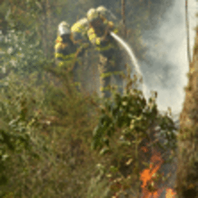 ESPECIAL - UN INCENDIO FORESTAL AFECT A ZONA DE MONTE DE PINZS EN TOMIO