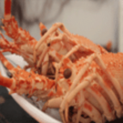 ESPECIAL - XIX FESTA DA LANGOSTA E DA COCIA MARIEIRA EN A GUARDA