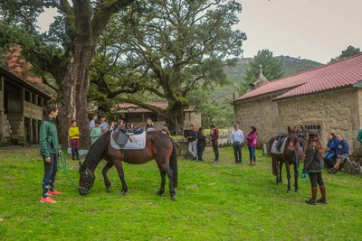 Crianas viveram no Mosteiro de Sao Joao dArga -Uma aventura com o garrano-