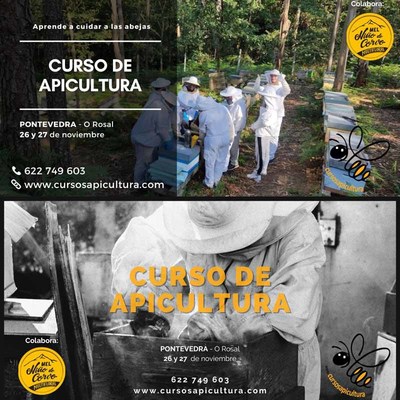 Curso de Apicultura en el mes de noviembre en O Rosal(Pontevedra)