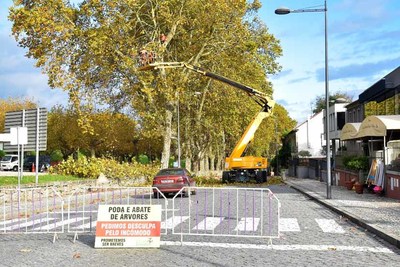 Corte de Transito na Avenida de Espanha para Poda de Correao de rvores