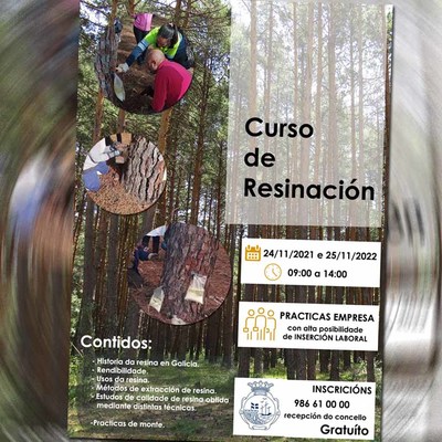 A Guarda oferta formacin gratuita sobre aprovechamiento de la resina natural con posibilidades de insercin natural