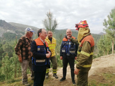 Fogo controlado protege floresta em Valena