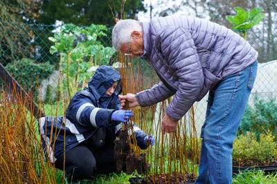 O Concello entrega as primeiras plantas da nova edicin da campaa -Enche o teu monte de vida autctona-