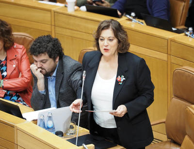 El grupo socialista reclama a la Xunta que apruebe la declaracin de emergencia por los daos provocados por los temporales de Navidad