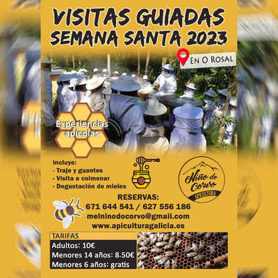 Disfruta de una Semana Santa diferente con las visitas guiadas -Experiencias apcolas-