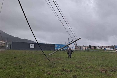 Un ganadero de A Guarda lleva ms de medio ao pidiendo que se repongan unos postes telefnicos cados sobre una finca 