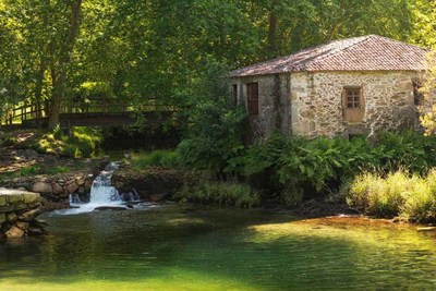 O Rosal estrea grupo de voluntariado de limpeza da natureza 
