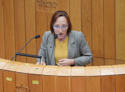El BNG pide el apoyo del Parlamento gallego para demandar al Gobierno de Espaa la retirada de los POEM