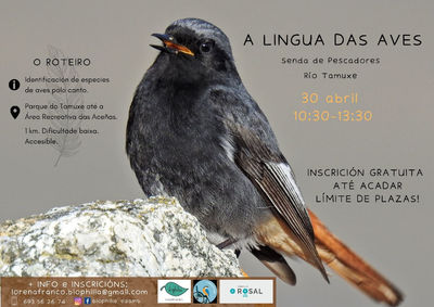 O Rosal organiza una ruta para aprender a reconocer el canto de las aves