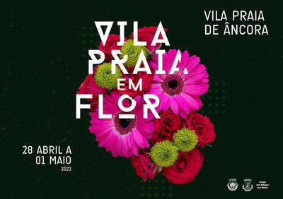 Vila Praia em Flor anima Caminha a partir de sexta-feira