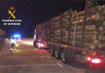 La Guardia Civil inmoviliza un camin que transportaba madera, con un exceso de 13.700 kgs
