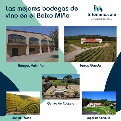 Las mejores bodegas de vino en el Baixo Mio