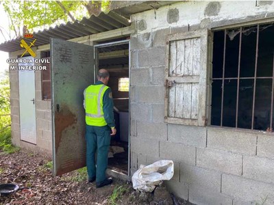 La Guardia Civil de Pontevedra detiene a un vecino de Oia como autor sendos delitos de abandono y maltrato animal