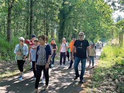 Seniores de Valena a caminhar na Ecopista  no ambito do programa -Maio, mes do coraao-