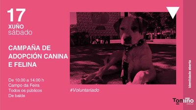 Tomio pon en marcha unha nova xornada de adopcin de cans e gatos