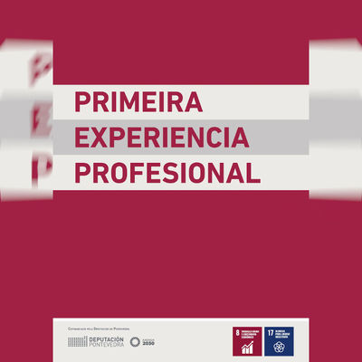 Tomio contratar a cuatro personas desempleadas en el marco del proyecto -Primeira Experiencia Profesional-