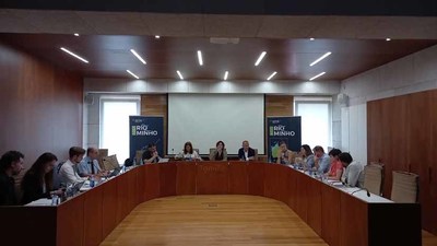 OCDE e entidades do Mio analizan solucins legais para que un nico organismo mioto poida tomar todas as principais decisins sobre o territorio transfronteirizo 
