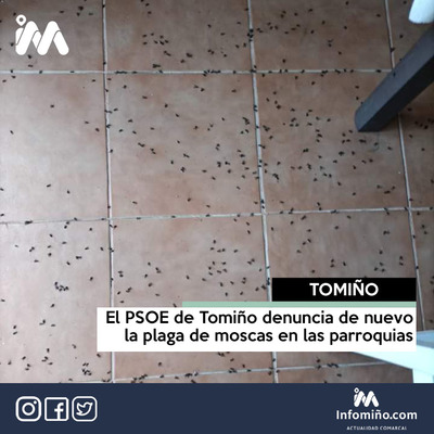 El PSOE de Tomio denuncia de nuevo la plaga de moscas en las parroquias