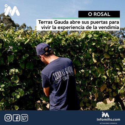 Terras Gauda abre sus puertas para vivir la experiencia de la vendimia