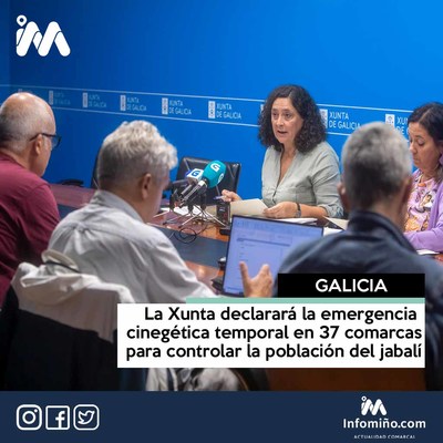 La Xunta declarar la emergencia cinegtica temporal en 37 comarcas para controlar la poblacin del jabal