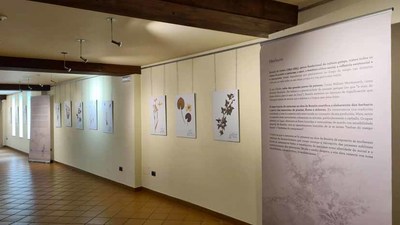 Rosala de Castro desembarca co seu herbario literario no Rosal