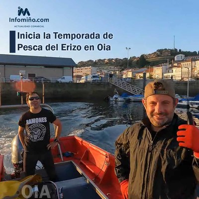 Inicia la Temporada de Pesca del Erizo en Oia