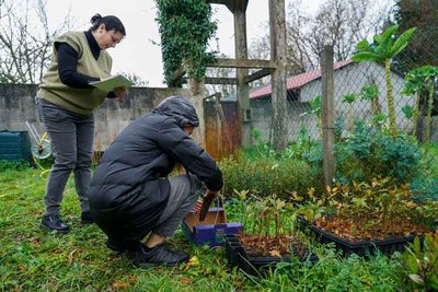 Tomio realiza la entrega de ms de 2.600 rboles para repoblar los montes con vida autctona