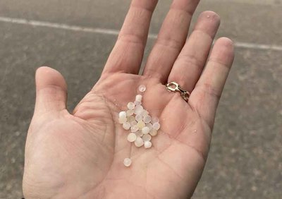 O Grupo Municipal Socialista presenta unha mocin ante a aparicin de pellets de plstico nas praias guardesas