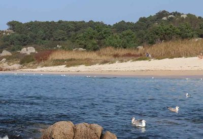 La Xunta ya retir de las playas gallegas 2.800 kilos de pellets y ms de 6.000 kilos de otros plsticos