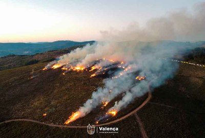 Acciones Preventivas para la Proteccin de Bosques Realizadas en Valena