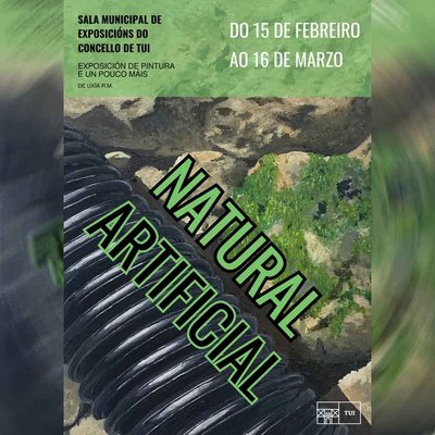 La artista tudense Uxa R.M. presenta su primera exposicin -Natural artificial-