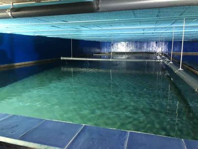 Tomio invierte 908.000 euros en mejorar las instalaciones de las tradas de agua vecinales