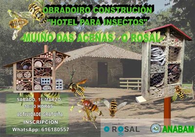 O Rosal smase ao coidado da natureza cun obradoiro de construcin de hoteis para insectos 